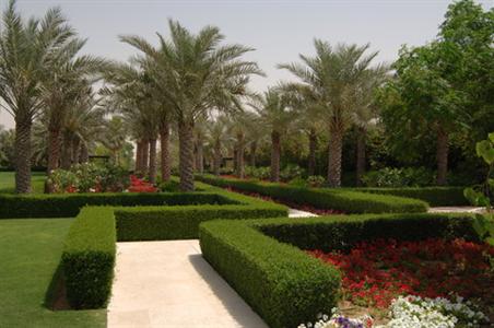 фото отеля Desert Palm Hotel Dubai