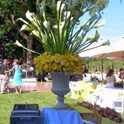 фото отеля The Ink House Bed and Breakfast Saint Helena