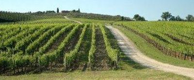 фото отеля Relais Riserva Di Fizzano Hotel Castellina in Chianti