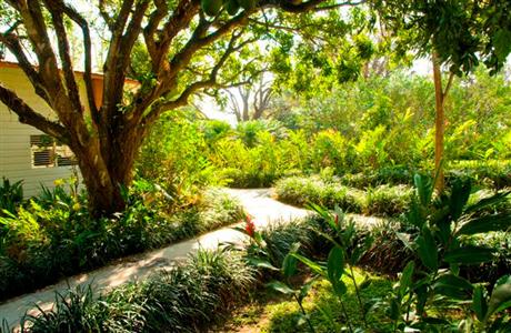 фото отеля Hacienda Guachipelin