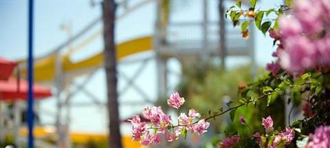 фото отеля Disney's Paradise Pier Hotel