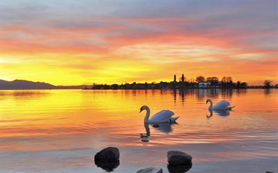 фото отеля Lindauer Hof