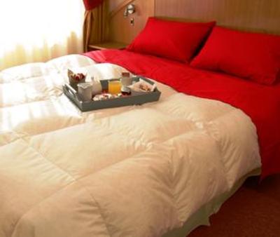 фото отеля La Fayette Suites Providencia