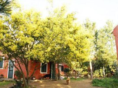 фото отеля L'Aglientu B&B