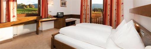 фото отеля Hotel Wiedenhofer
