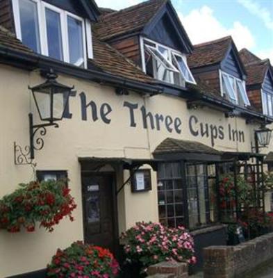 фото отеля The Three Cups Inn