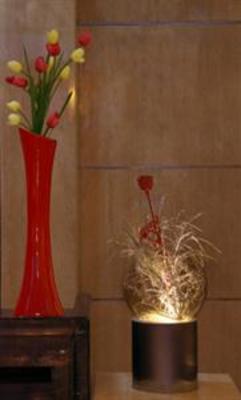 фото отеля Golden Tulip Amritsar