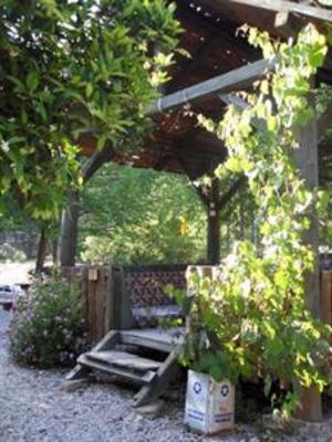 фото отеля Olympos Yakamoz Pension