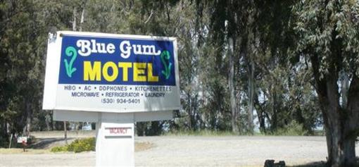 фото отеля Blue Gum Motel