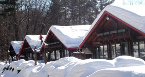 фото отеля Swiss Chalets Village Inn