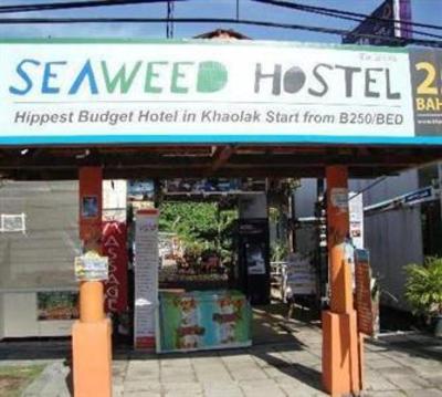 фото отеля Seaweed Hostel Khaolak