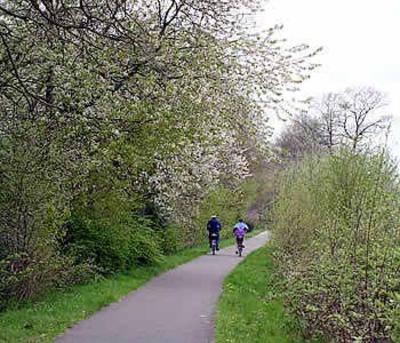 фото отеля Birnbaumhof - Pension und Ferienwohnungen