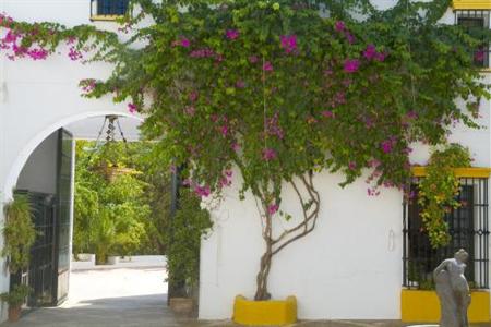 фото отеля Hacienda El Santiscal Arcos de la Frontera