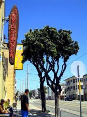 фото отеля Oceanview Motel San Francisco