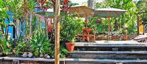 фото отеля Cool Bananas Backpackers Lodge