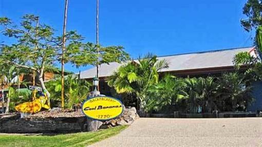 фото отеля Cool Bananas Backpackers Lodge