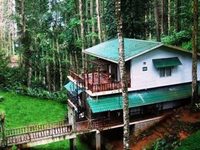 Greenspaces B&B Munnar