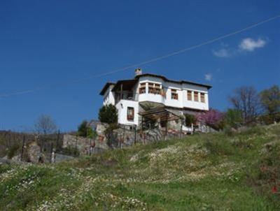 фото отеля Theasis
