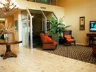 фото отеля Holiday Inn Express Tampa-Brandon