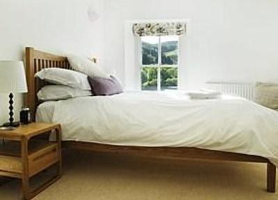 фото отеля Ardwyn House Llanwrtyd Wells