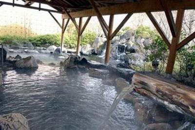 фото отеля Epinard Hotel Nasu