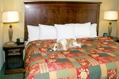 фото отеля Homewood Suites Gainesville