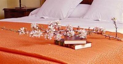 фото отеля Petit Hotel Alaro