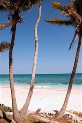 фото отеля Hotel Papaya Playa Tulum