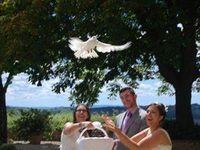 Villa il Poggiale Dimora Storica
