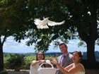 фото отеля Villa il Poggiale Dimora Storica