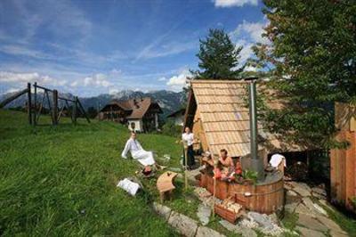 фото отеля Natur Und Wellness Hotel Höflehner Haus im Ennstal