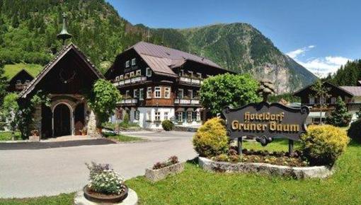 фото отеля Hoteldorf Gruner Baum