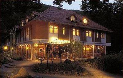 фото отеля Kurpark- FLAIR - Hotel "Im Ilsetal"