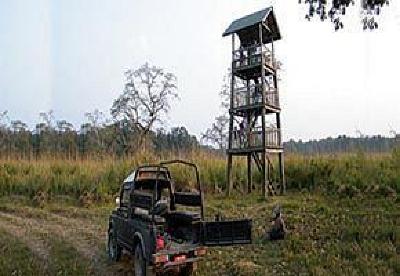 фото отеля Chitwan Forest Resort