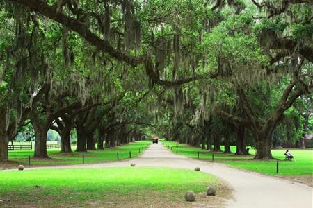 фото отеля Homewood Suites Charleston-Mt Pleasant