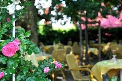 фото отеля Ott's Hotel Leopoldshohe