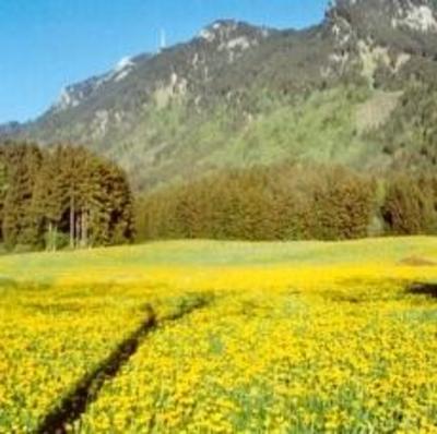 фото отеля Gasthof Grüntenblick