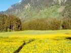 фото отеля Gasthof Grüntenblick