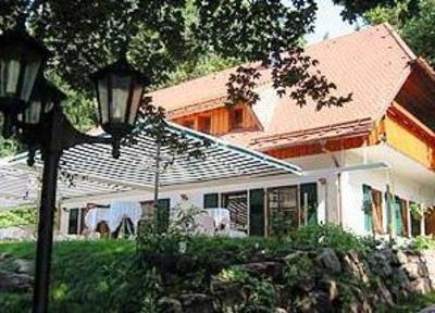 фото отеля Der Lautenbachhof