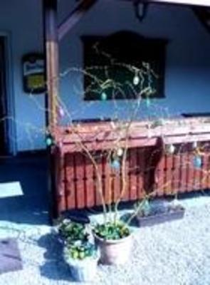 фото отеля Restaurace a Penzion U Mani