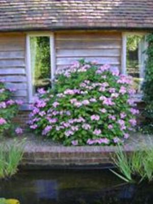 фото отеля Twitham Barn Bed and Breakfast Canterbury