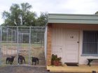 фото отеля Bingara Fossickers Way Motel