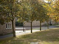 Storthes Hall Park