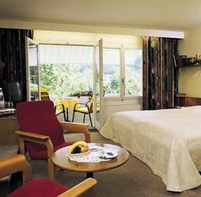 фото отеля Hotel Zurzacherhof