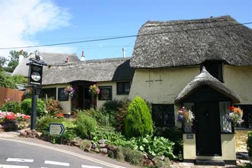 фото отеля The Thatched Tavern