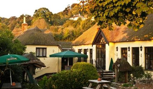 фото отеля The Thatched Tavern