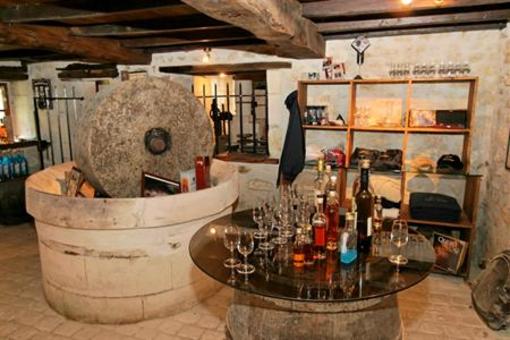 фото отеля Hotel du Moulin du Val de Seugne