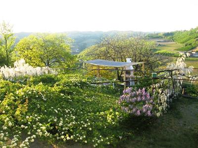 фото отеля Agriturismo Cascina Serra