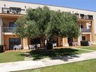 фото отеля Hotel Grupotel Mar De Menorca