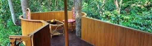 фото отеля Planet Green Plantation Resort